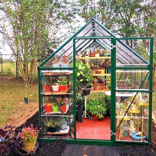 photo of greenhouse in backyard garden